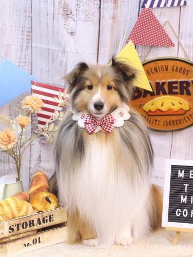 20240927ノアくん